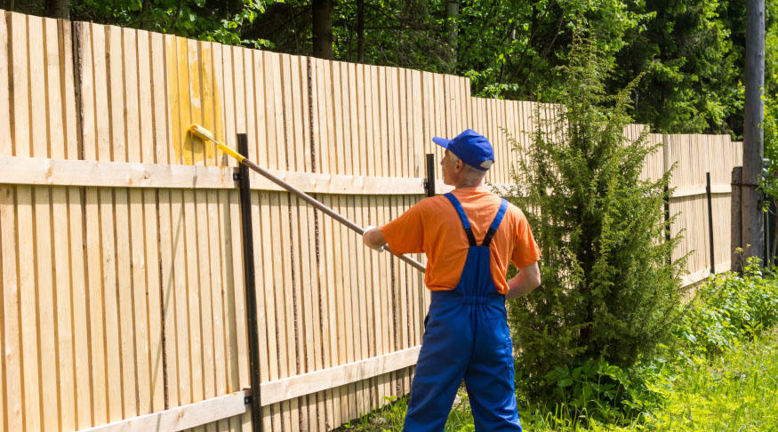 Fence Painting