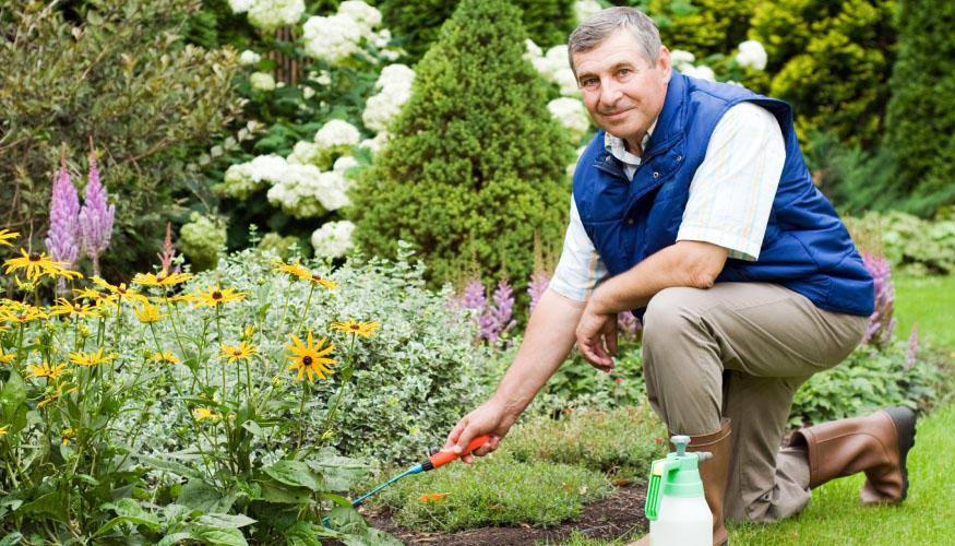 209 Gartengestalter sind bereit für dich.
