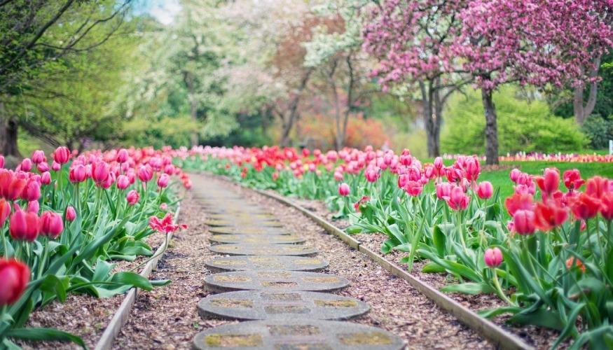 Jardinier Paysagiste