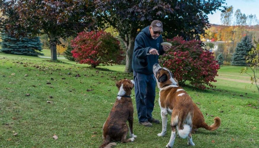 Comportementaliste Canin