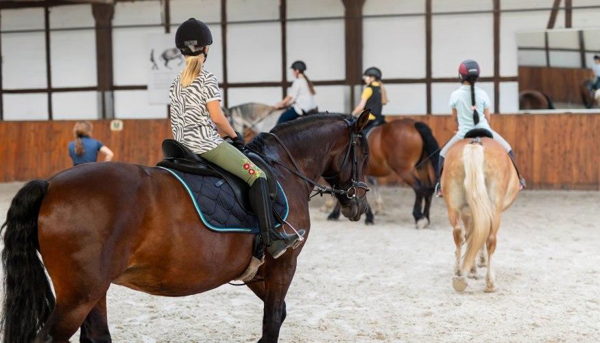 Clases de Equitación