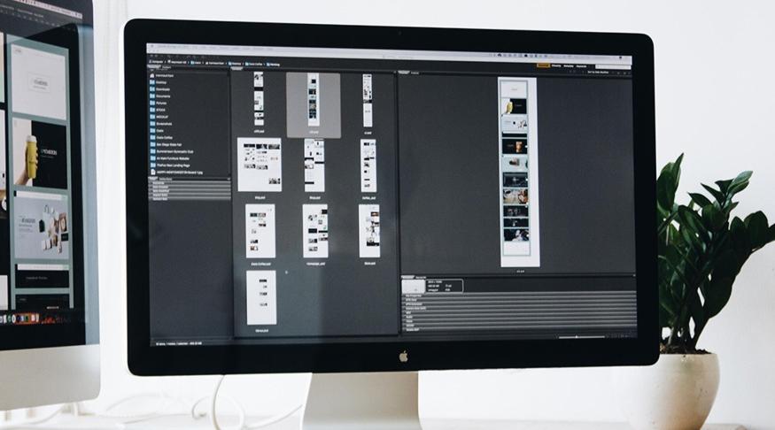 Diseñador Web