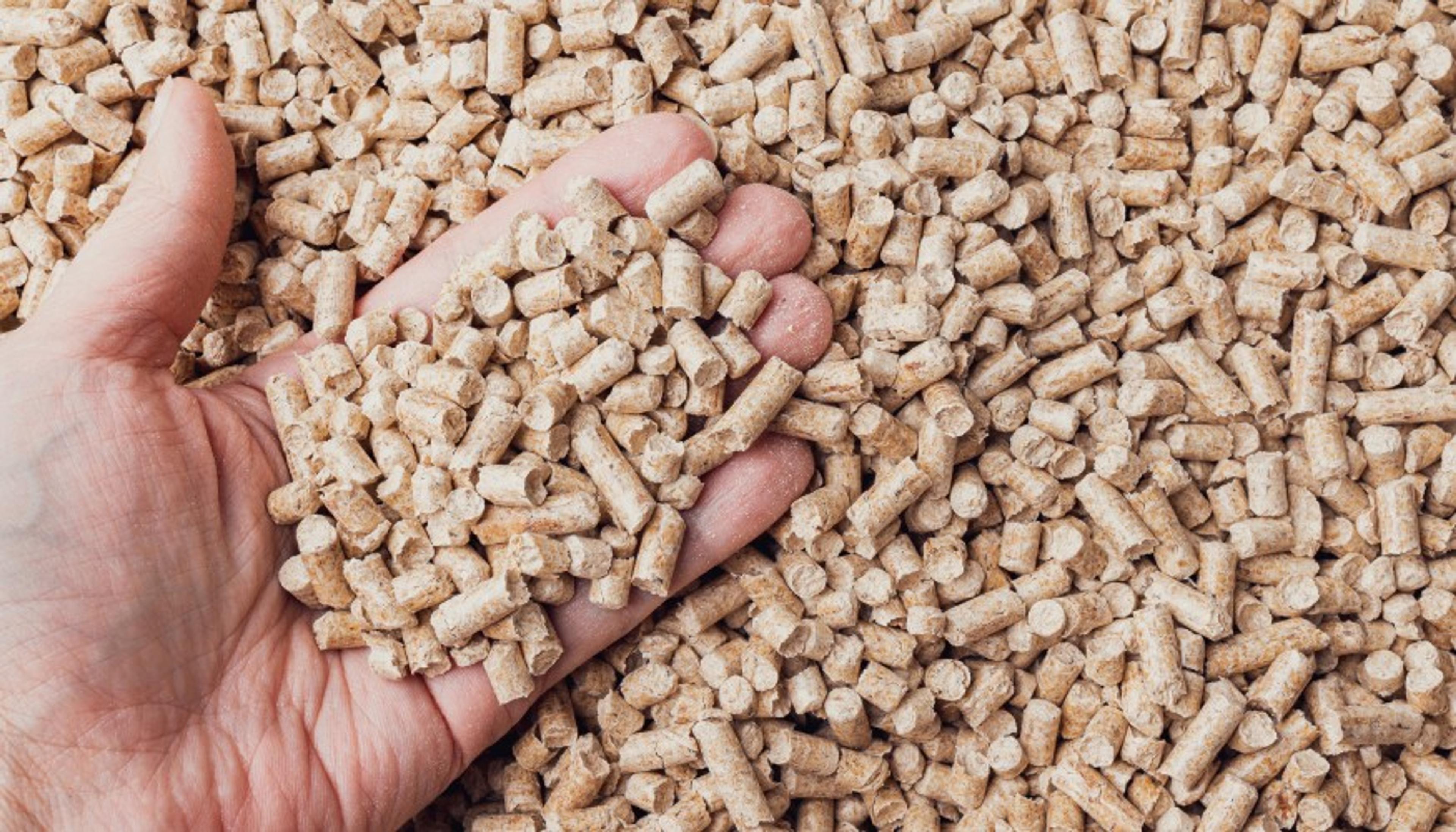 Instalación Caldera Pellets