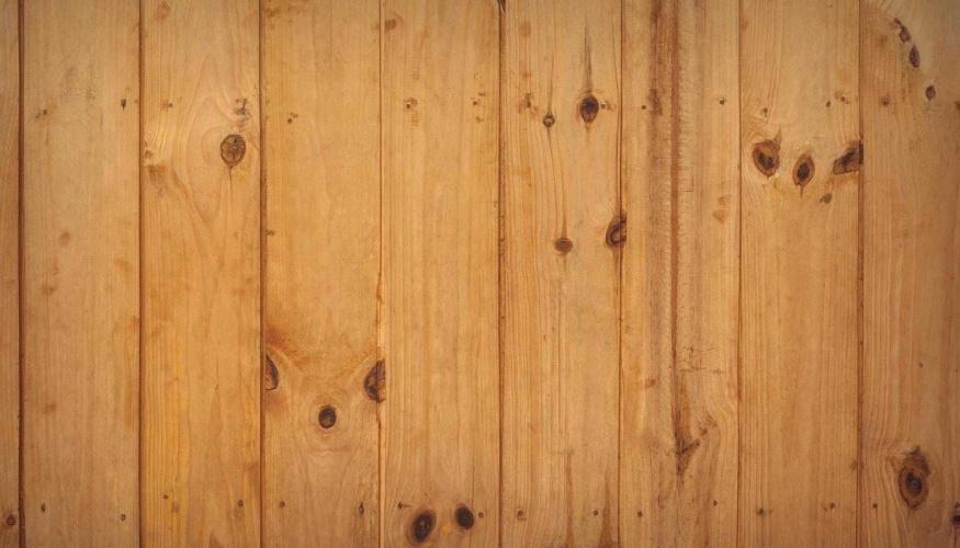 Trattamento Tarli Legno