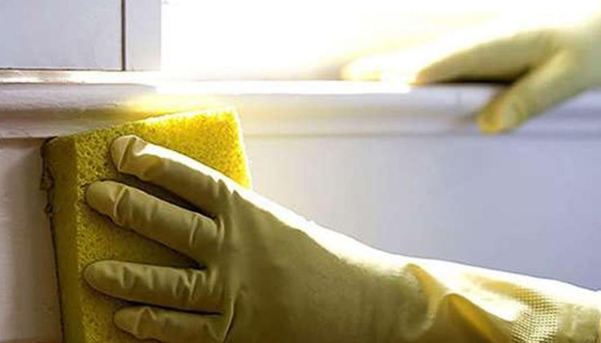 Pulizia Vetri Finestre