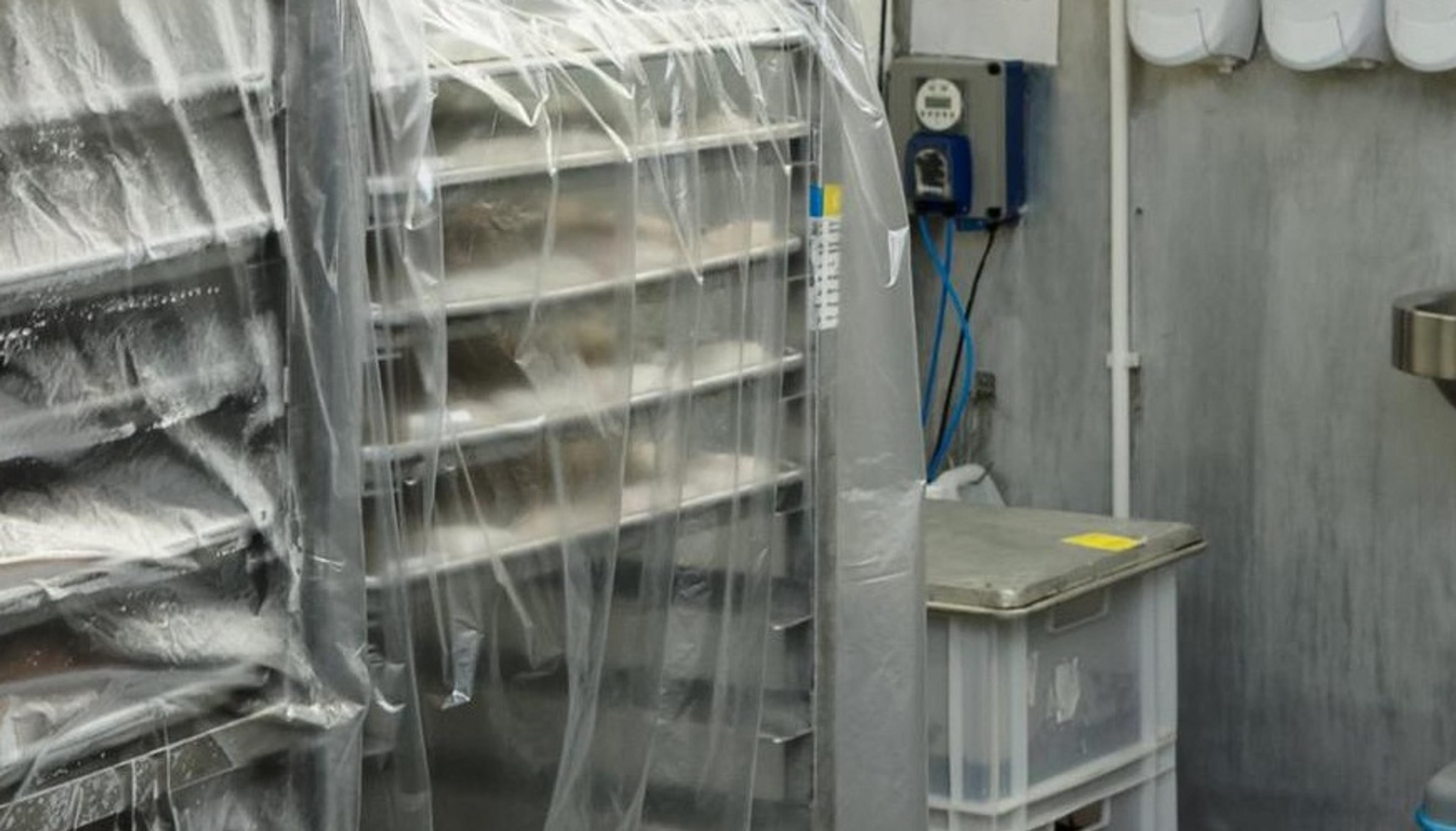 Certificazione HACCP