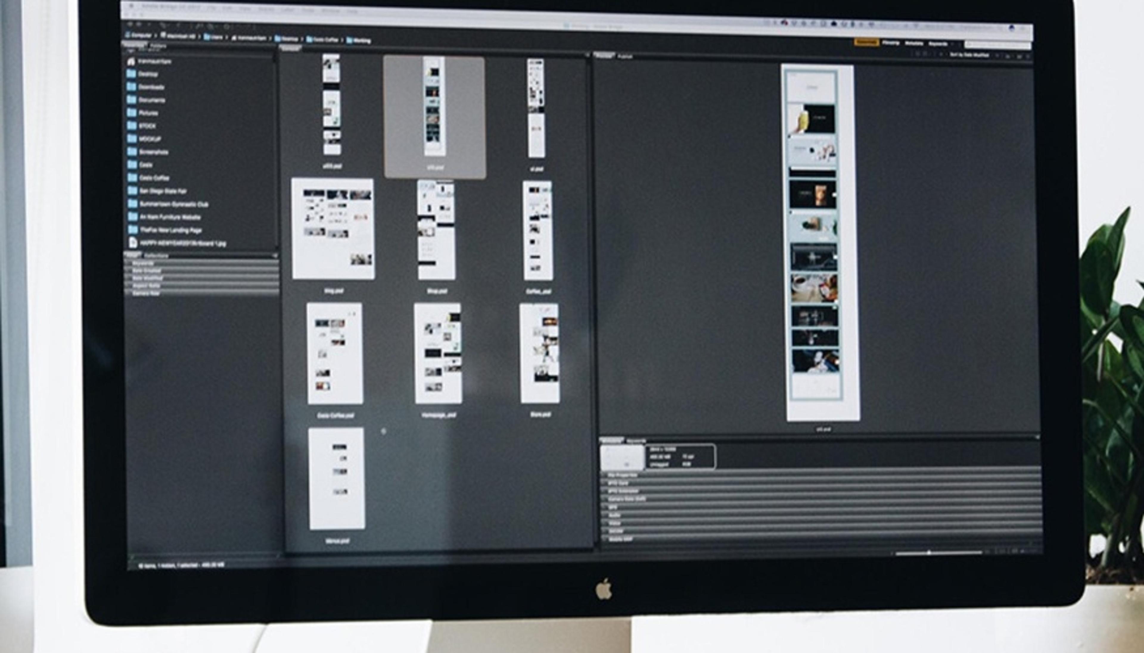 1202 Web Designer pronti per te.