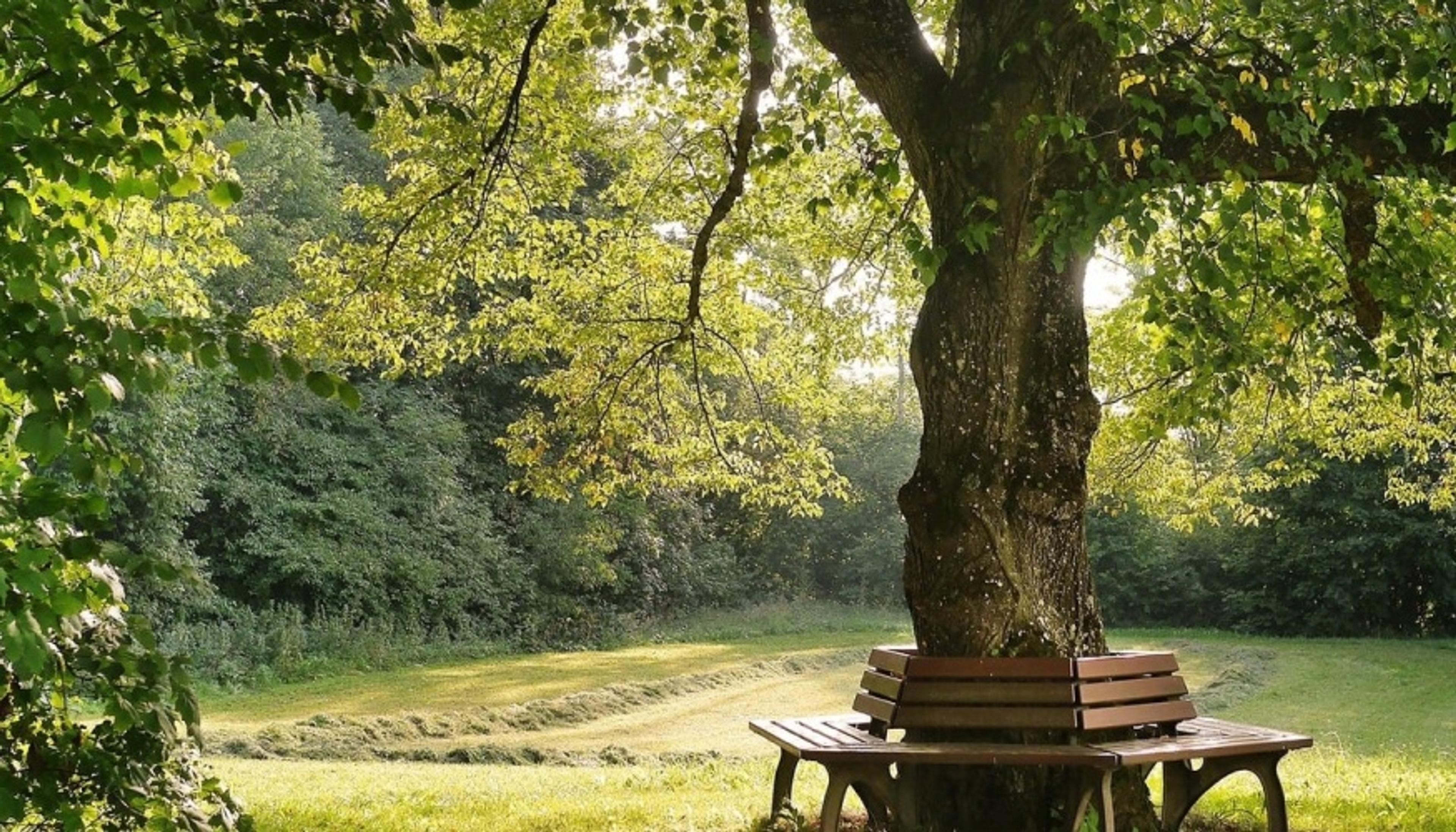 Manutenzione del Verde