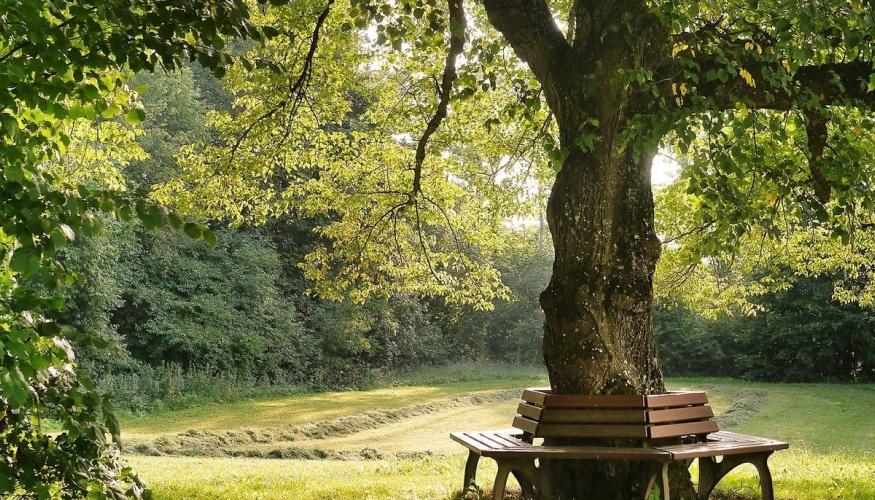 Manutenzione del Verde