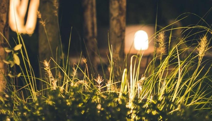 Illuminazione Giardino