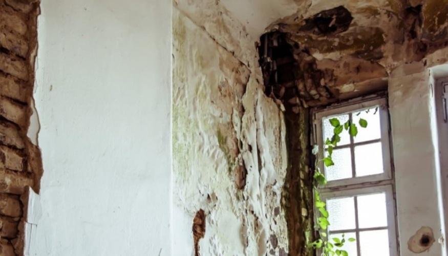 Trattamento Antimuffa