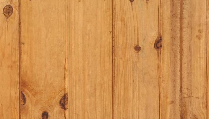 Disinfestazione Tarli