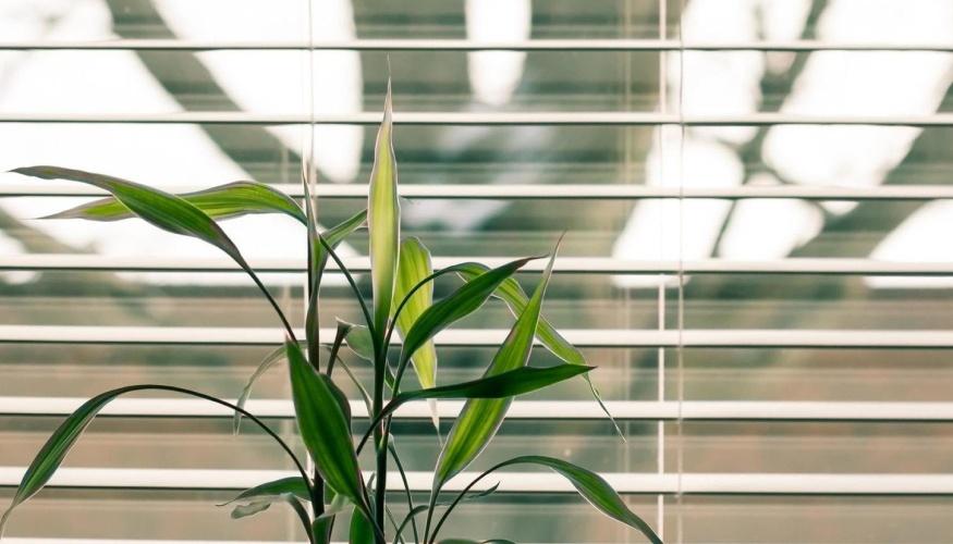 Sostituzione Cinghia Tapparella