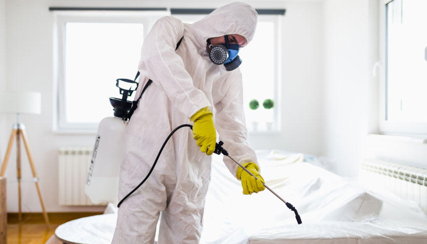 مكافحة حشرات