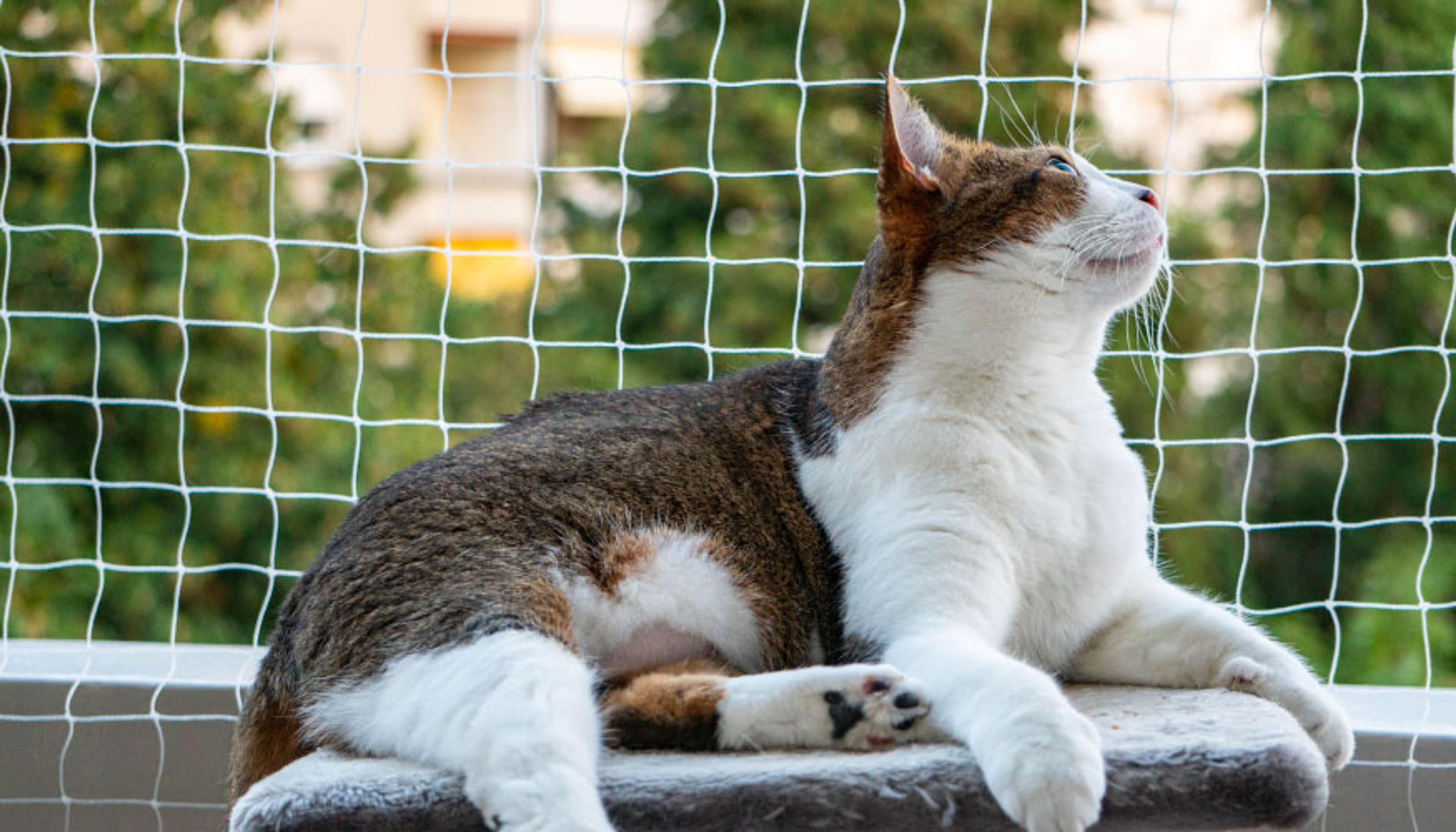 473 Balkon Filesi Ustası hazır.
