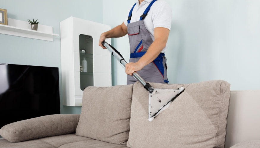 Sofa Reinigung