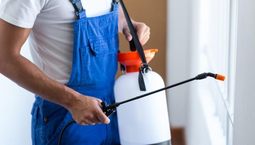 Disinfestazione Mosche