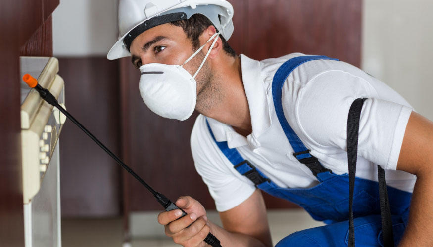 ابادة الحشرات