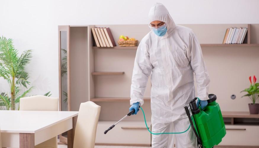 Deratizare Gandaci de Bucatarie