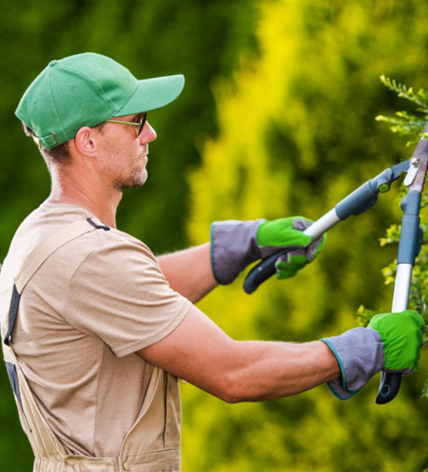 274 Gartenpfleger sind bereit für dich.