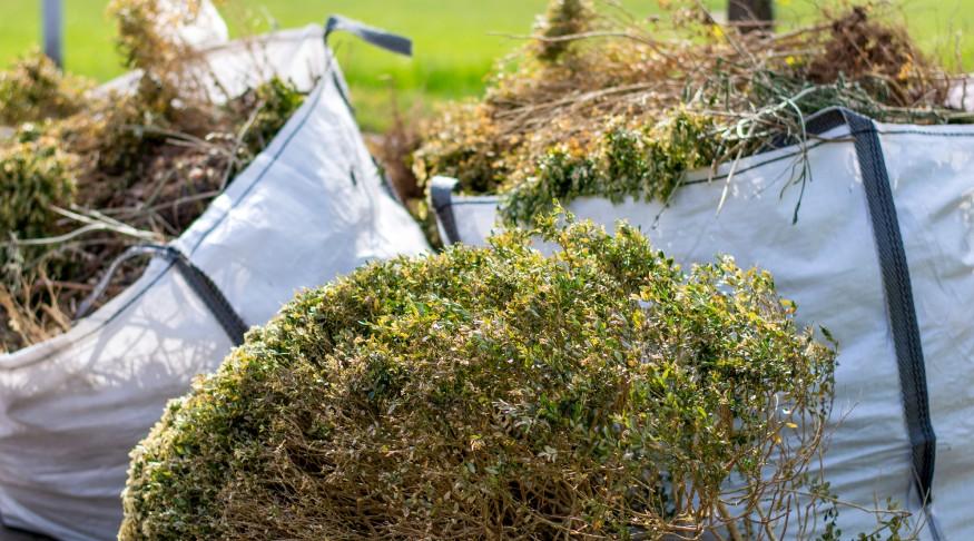 Gartenabfälle Entsorgung