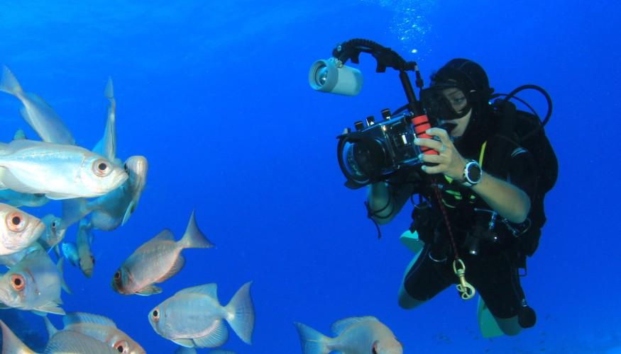 Unterwasserfotograf