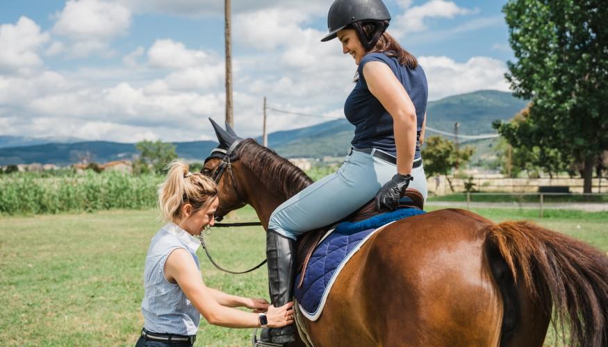 Reiten Lernen Erwachsene