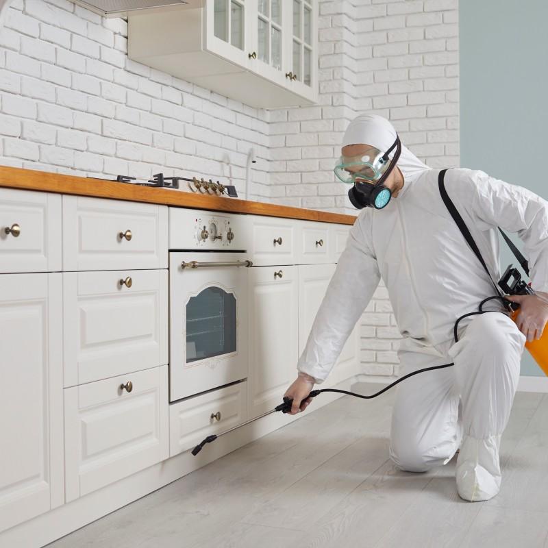 مكافحة الصراصير