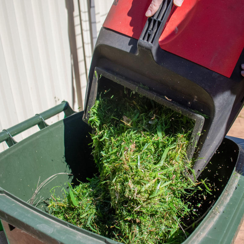 Garden Waste Removal