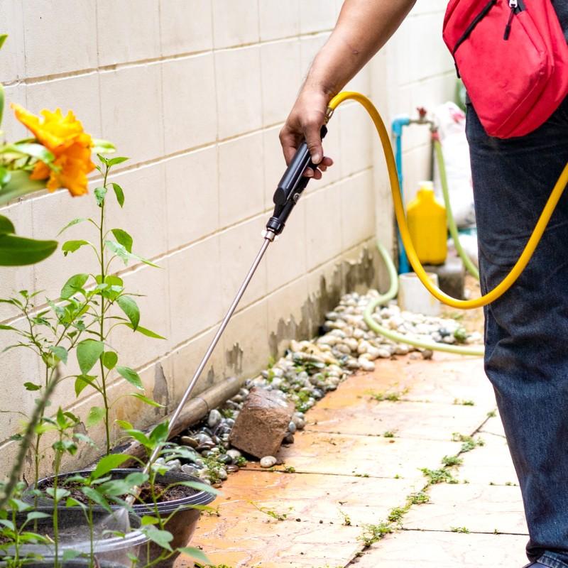 مكافحة النمل