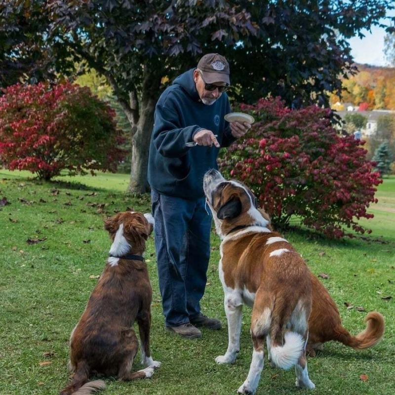 Comportementaliste Canin