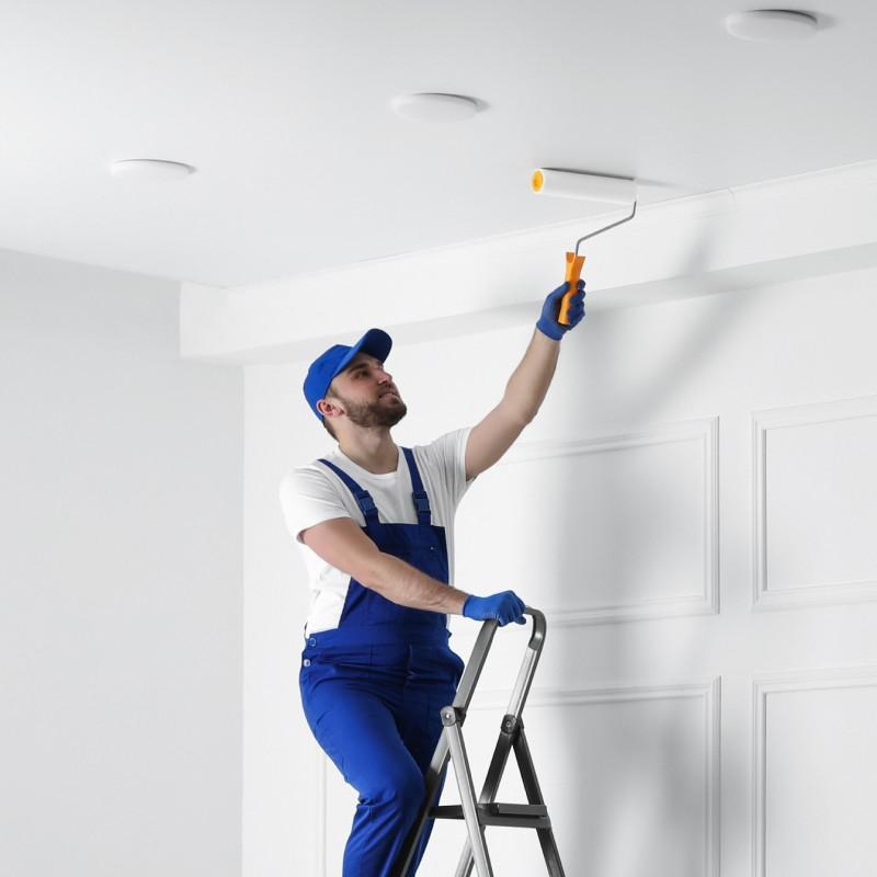 Full House Renovation