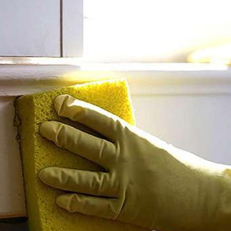 Pulizia Vetri Finestre