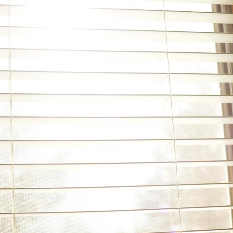 Manutenzione Persiane