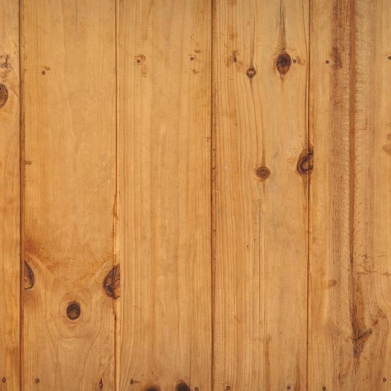 Disinfestazione Tarli