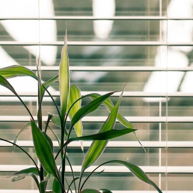 Sostituzione Cinghia Tapparella