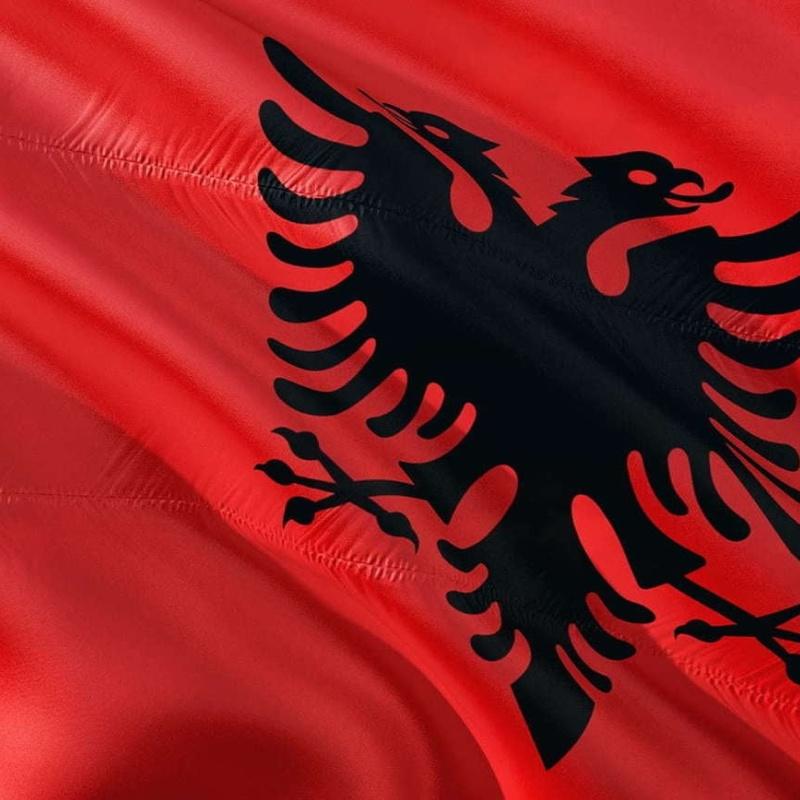 Arnavutça Çevirmen