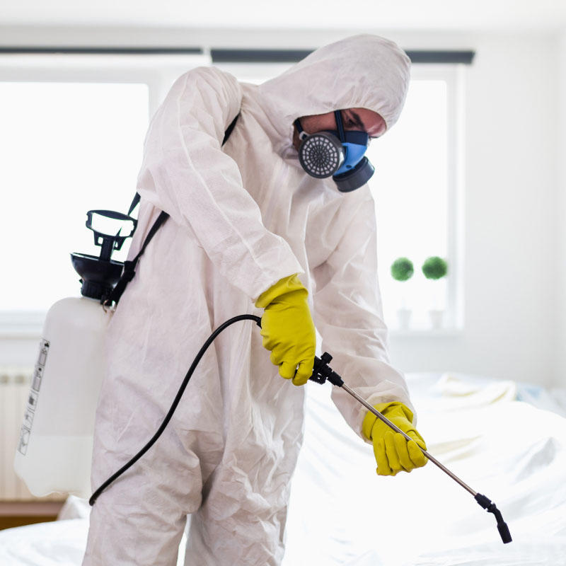 مكافحة حشرات