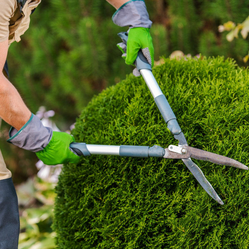 Intretinere Spatii Verzi