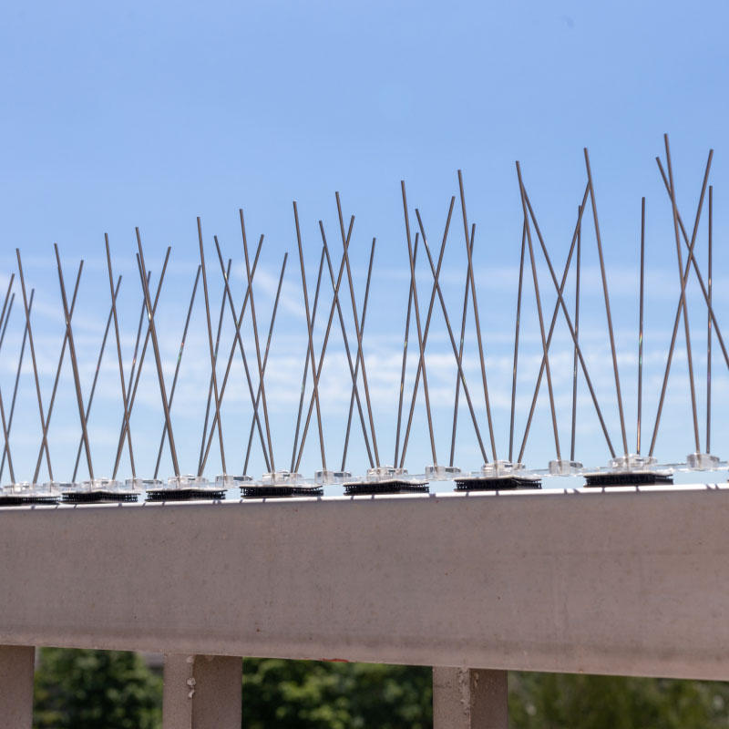 مكافحة الحمام