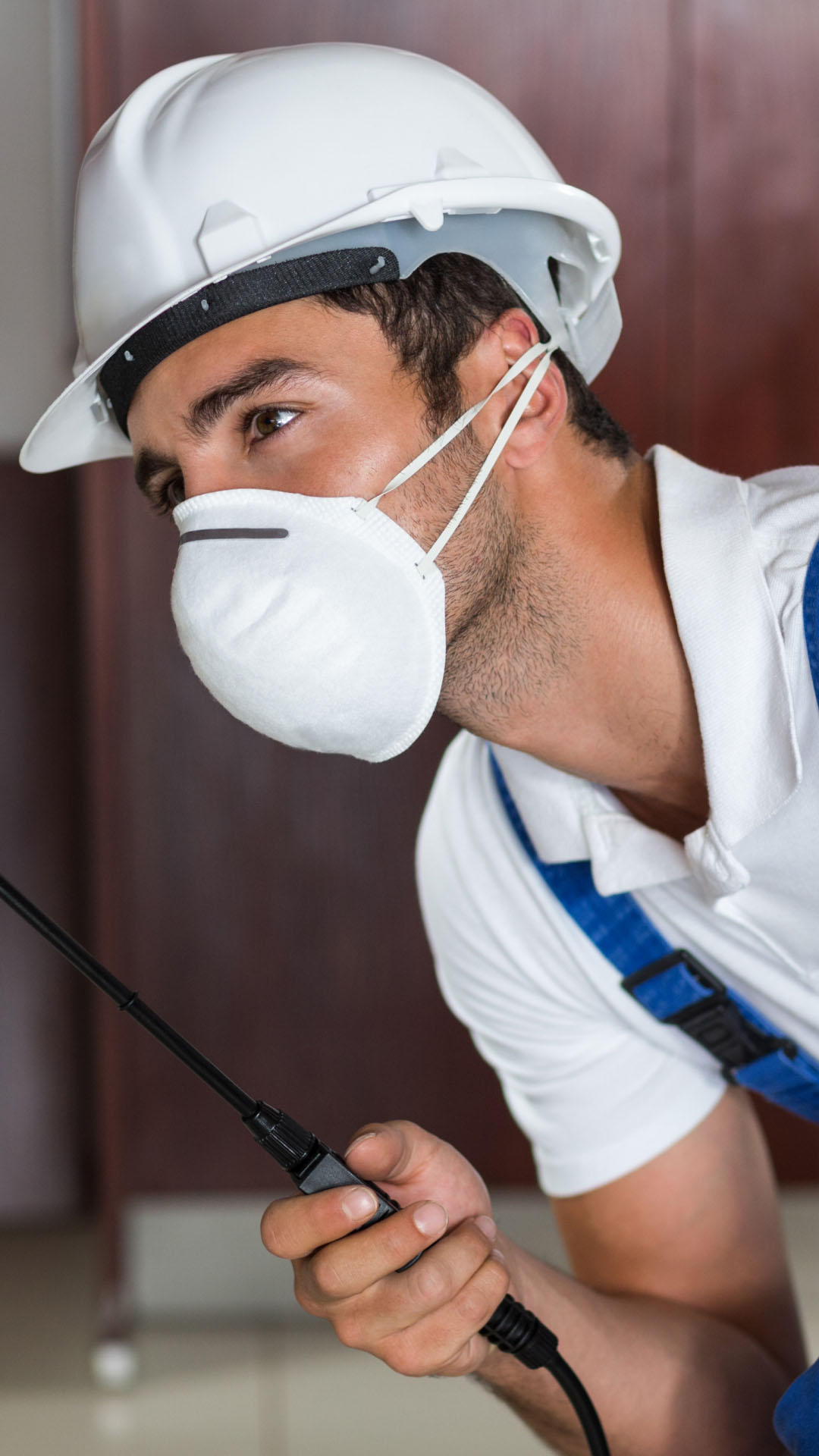 ابادة الحشرات