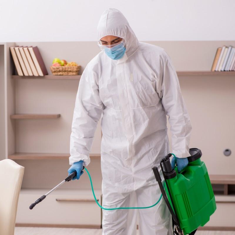 Disinfestazione Blatte
