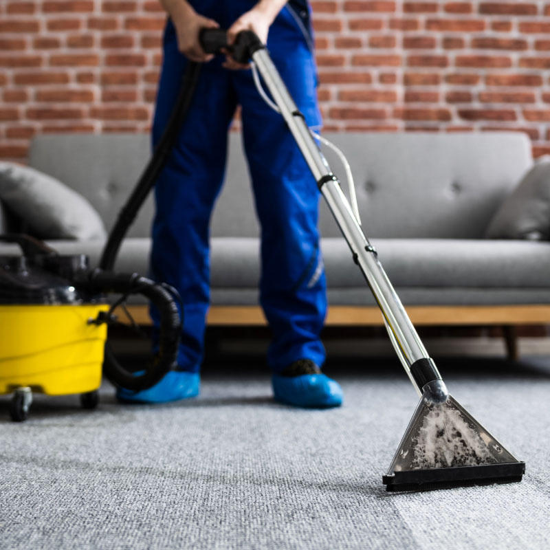 Teppichreinigung