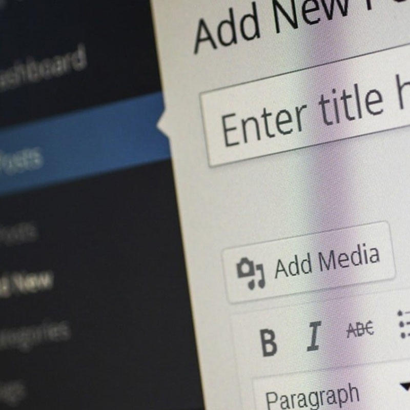 Wordpress Website Erstellen