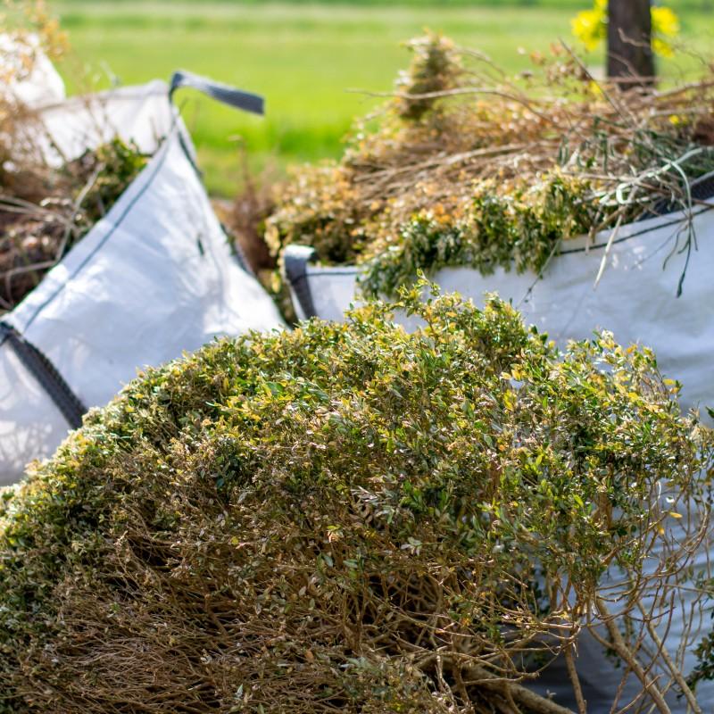 Gartenabfall Entsorgung