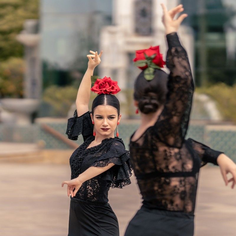 Flamenco Lernen