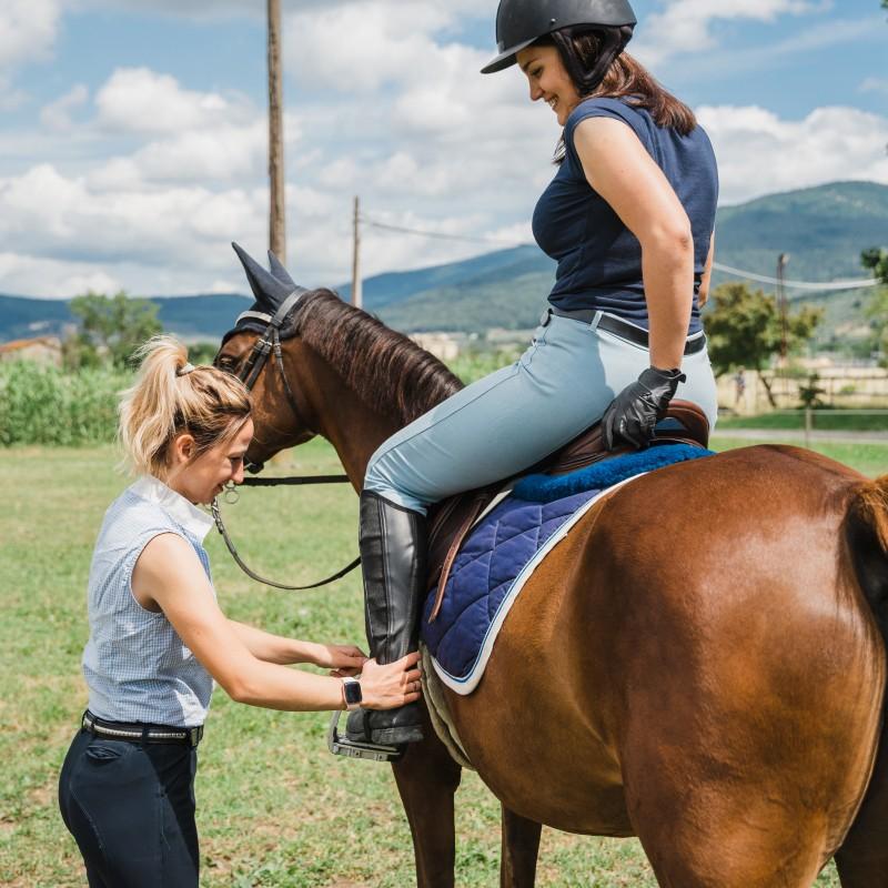Reiten Lernen Erwachsene