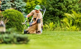 Servizi di tendenza della settimana Manutenzione Giardini.