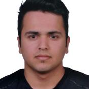 Web Site Yapımı